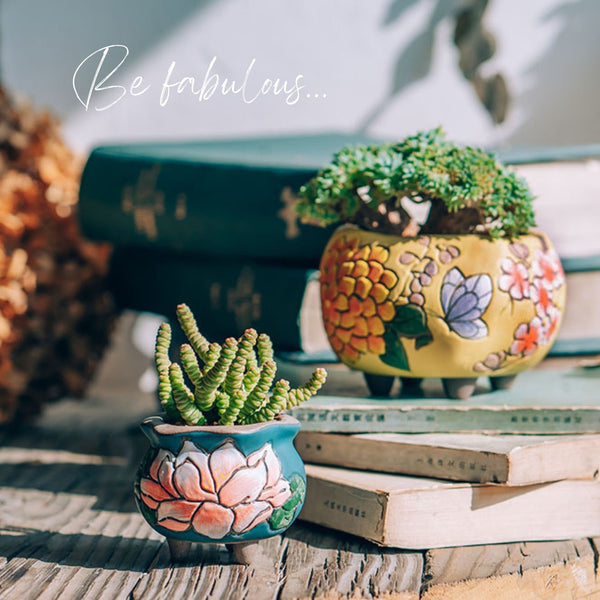Designer Hand Painted Ceramic Succulent Garden Planter Gift Set