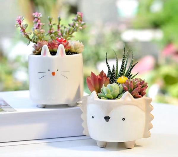 Set of 4 Cute Friends Ceramic Planter