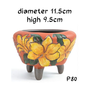 Designer Hand Painted Ceramic Succulent Garden Planter Gift Set-P78