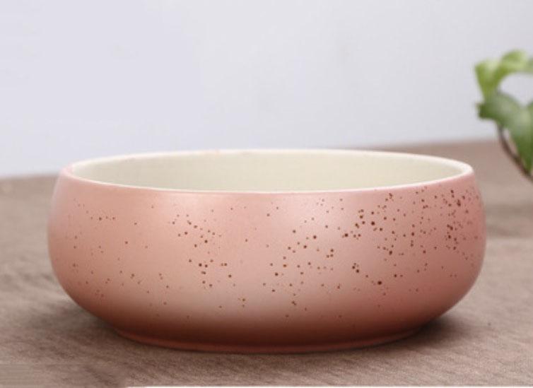 6 Inch Modern Ceramic Succulent arrangement bowl