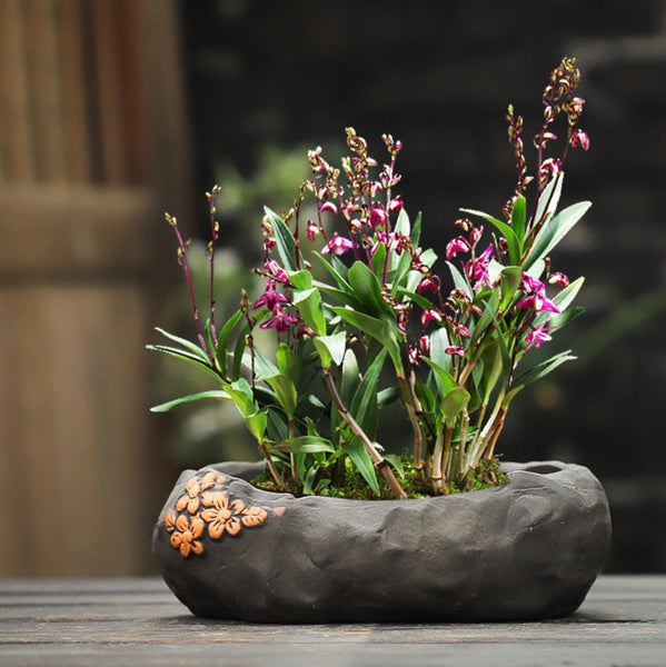 Oval Succulent Pot | clay planter | Japanese pot | Suitable for Indoor/Outdoor Bonsai Tree