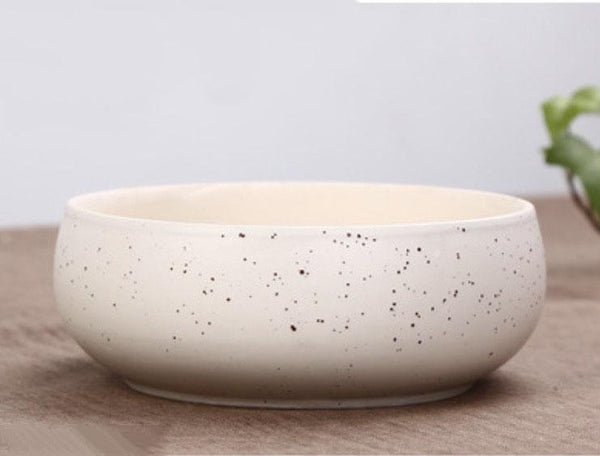 6 Inch Modern Ceramic Succulent arrangement bowl