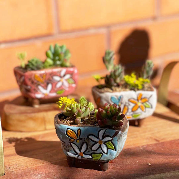 Hand Paint Mini Garden Pots