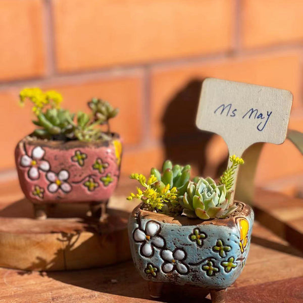 Hand Paint Mini Garden Pots