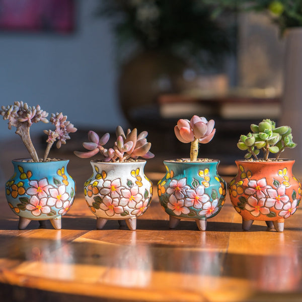 Floral Hand Crafted Succulent and Cactus Clay Planter Pots with Colorful Designs and Drainage Hole