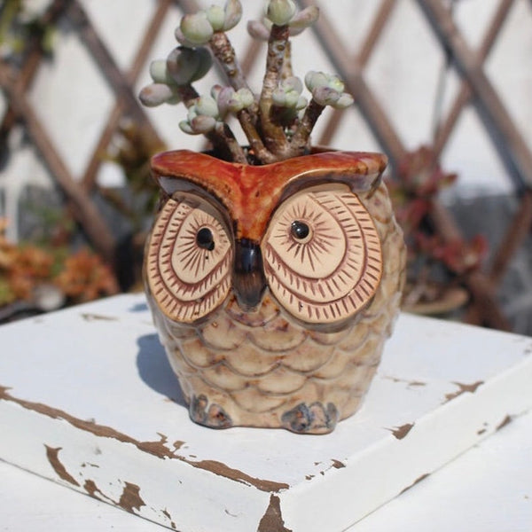 Cute colourful owl Succulent Planter
